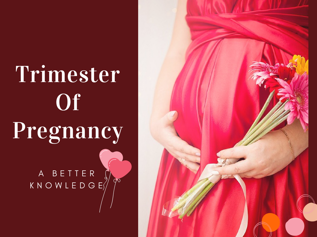 A Better Knowledge On Trimesters Of Pregnancy