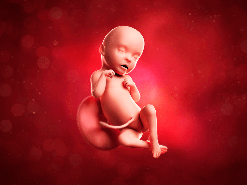 10-Essential-Pregnancy-Tips-for-a-Healthy-Womb-Baby.