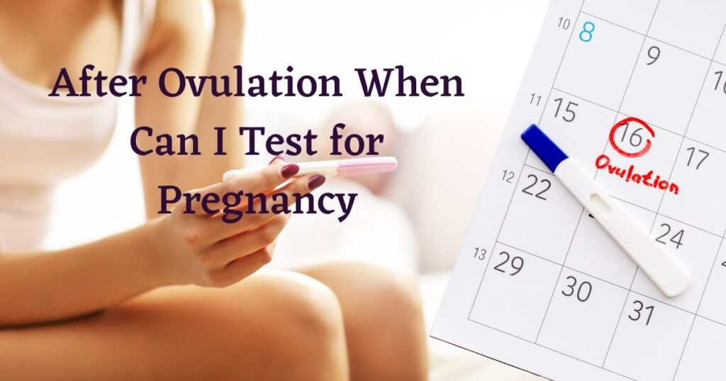 After Ovulation When Can I Test for Pregnancy
